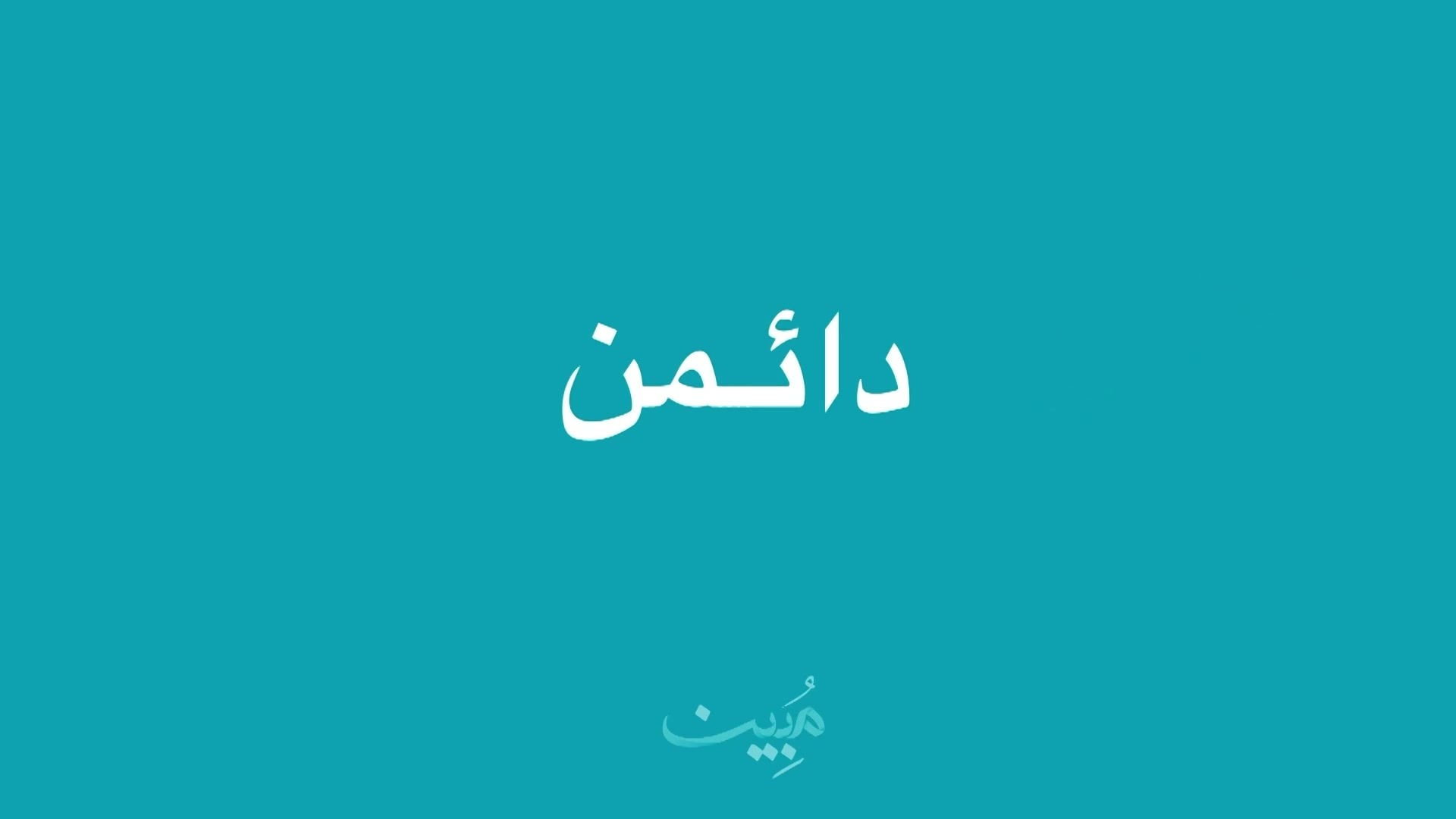 الحلقة 13