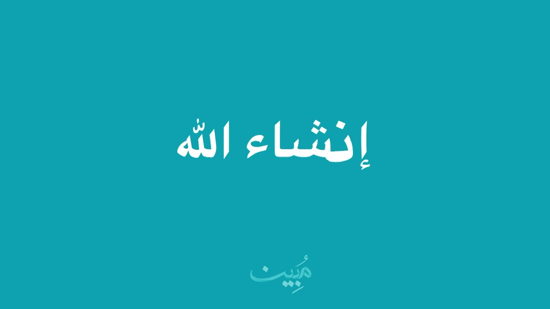 الحلقة 11