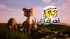 Fahad Al Barary