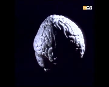 علمه البيان: المستقبل .. التنبوء العلمي