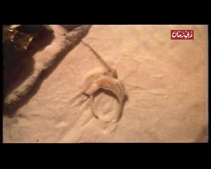 العلم والإيمان: الشريط الورقي