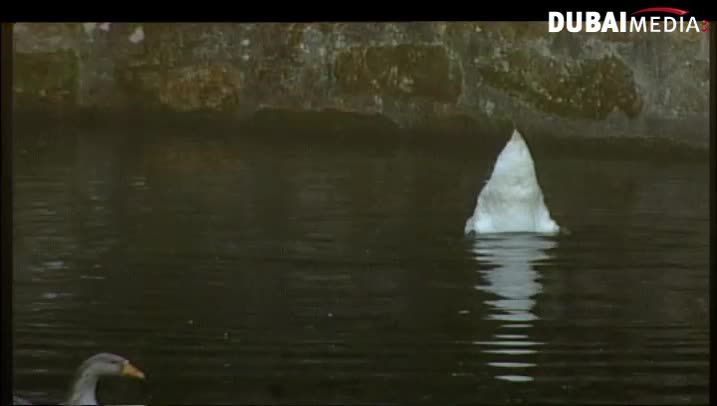 حقائق قرآنية: الرزق ... للإنسان ولجميع الخلق