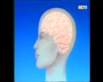 علمه البيان: دفاعات متتالية