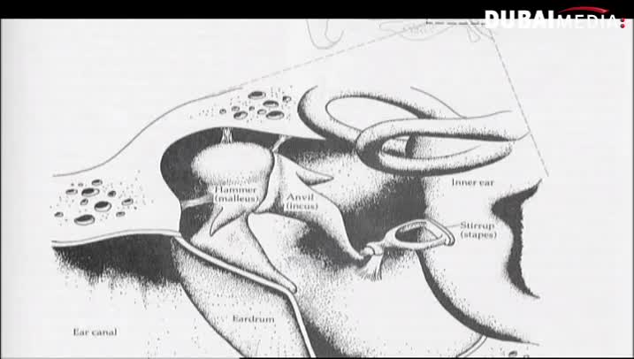 حقائق قرآنية : الحواس عند الإنسان- جزء1