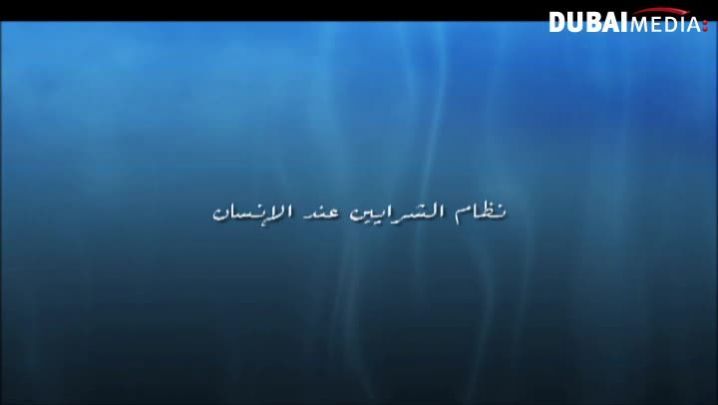 حقائق قرآنية: نظام الشرايين عند الأنسان