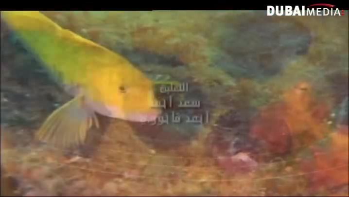 حقائق قرآنية: الخمر... وأمراض القلب