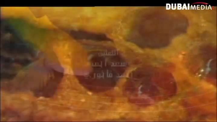 حقائق قرآنية: الدم ودوره الحيوي