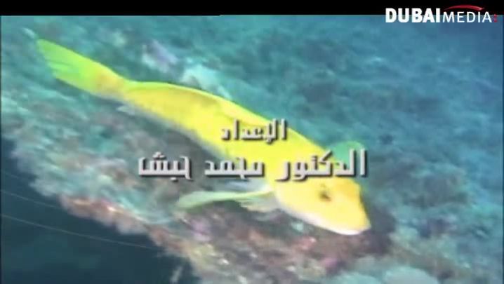 حقائق قرآنية: الرضاعة الطبيعية