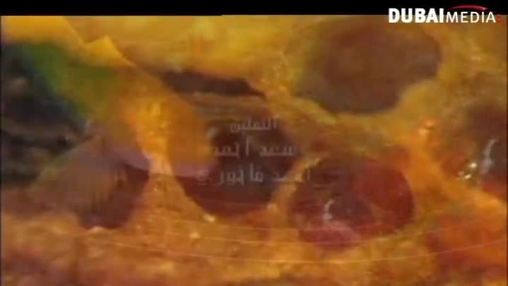 حقائق قرآنية: جهاز الهضم والجهاز العصبي