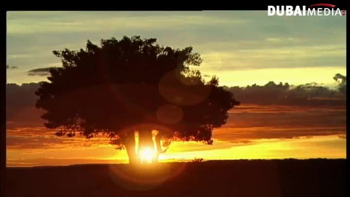 حقائق قرآنية: الليل والنهار