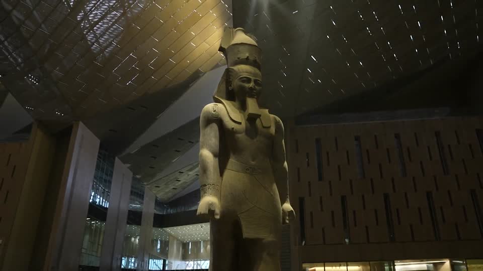 عزة فهمي - مجموعة اللوتس