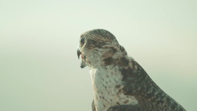 الحلقة 09