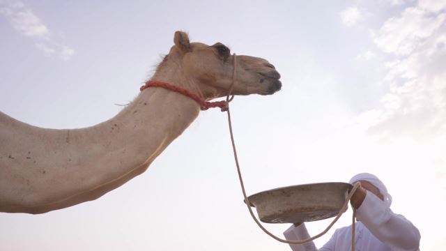 الحلقة 01