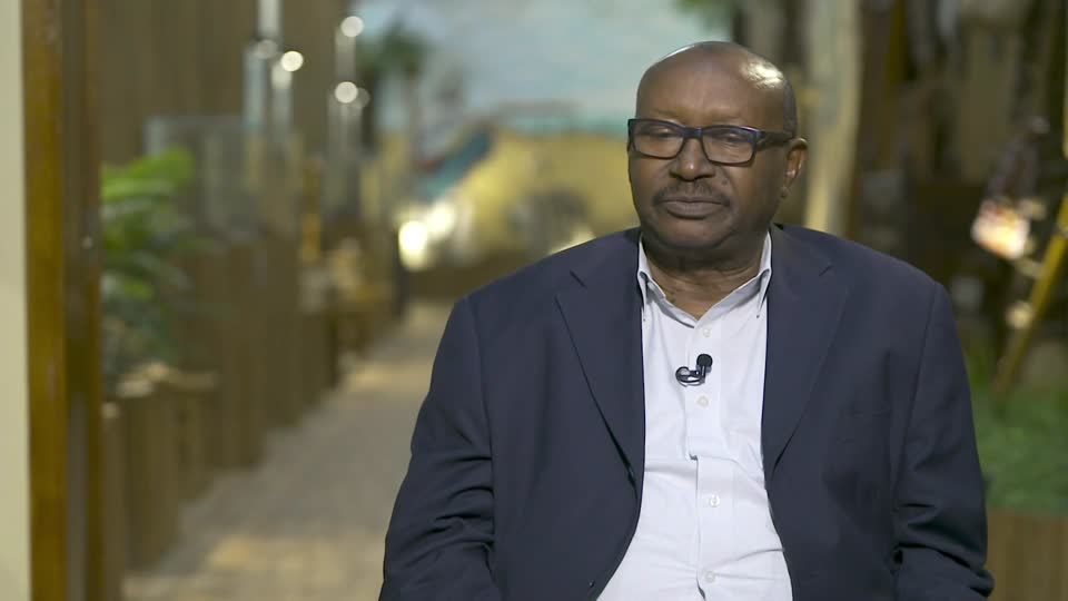 Rock inscriptions in the Emirate of Fujairah