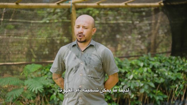 Mother of Coffee - Coffee Trails