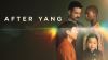 After Yang
