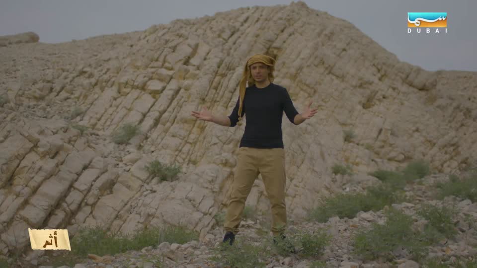 أثر: الضبع العربي - حيوان منقرض