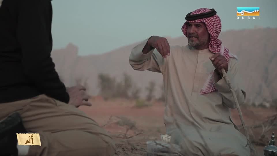 أثر: طائر البومة