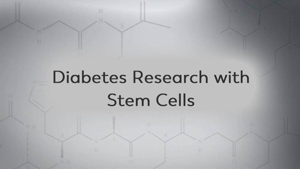 Hopes and Fears: Diabetes Research With Stem Cells