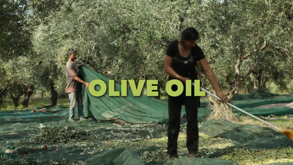 Olive Oil – The Green Gold of the Mediterranean