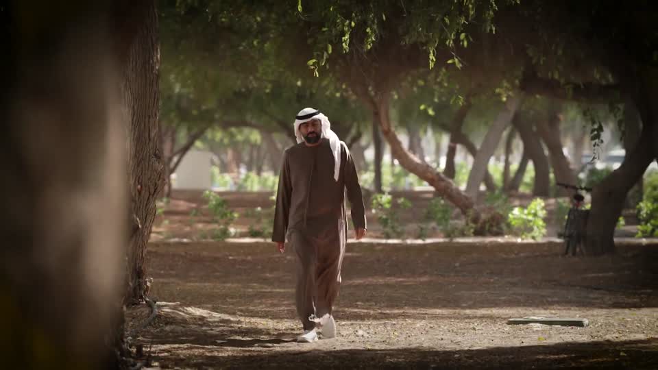 حدبة الزعفرانة