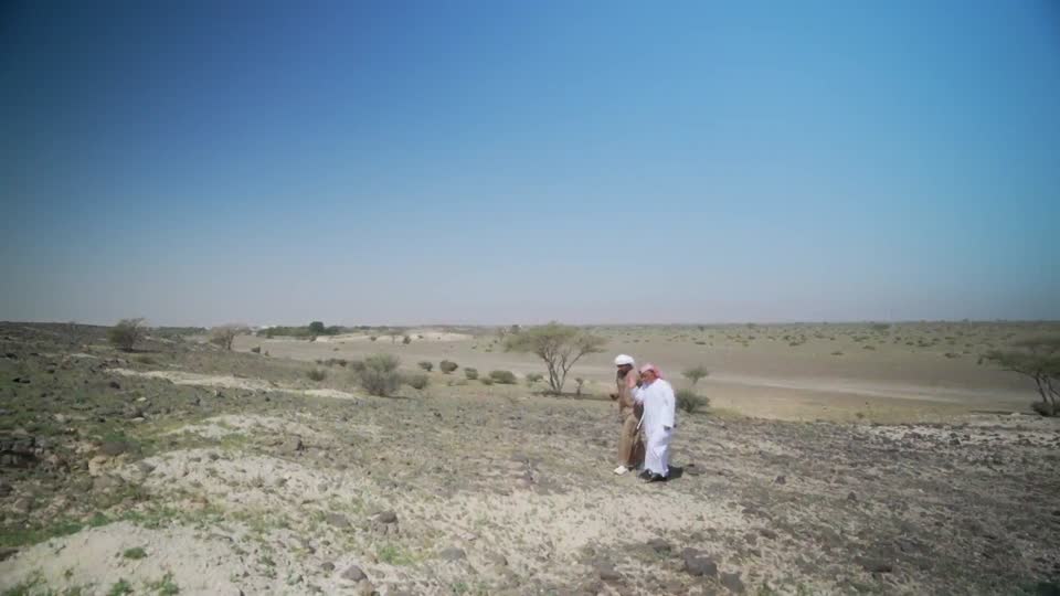 فيلي الشارقة