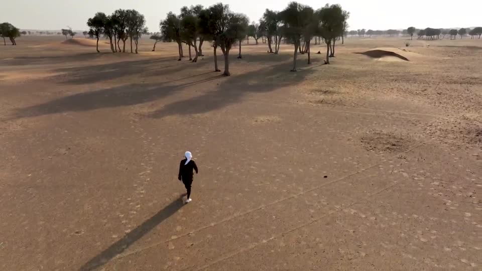 وادي القرحة