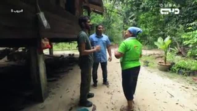 دروب5: باتالونج