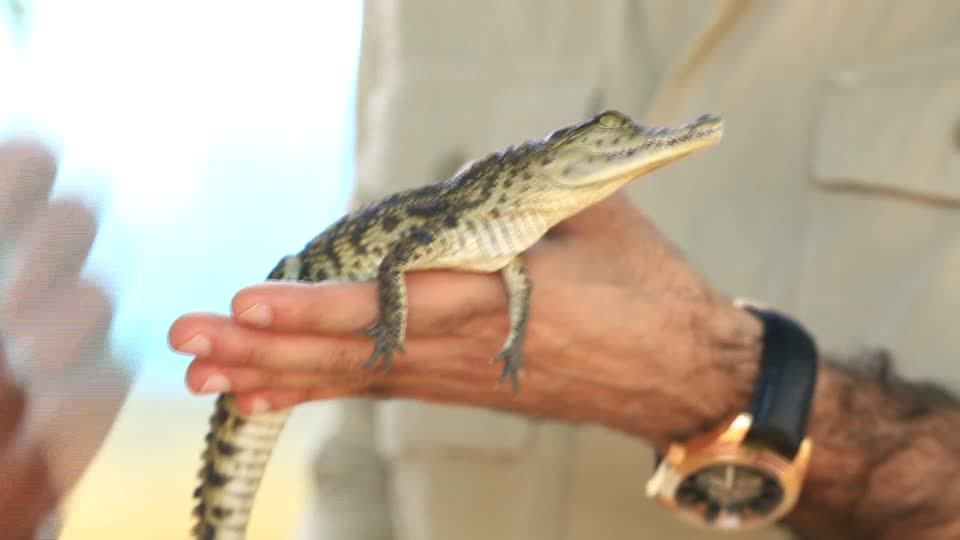 هل تعرف هذا عن أسوان مصر