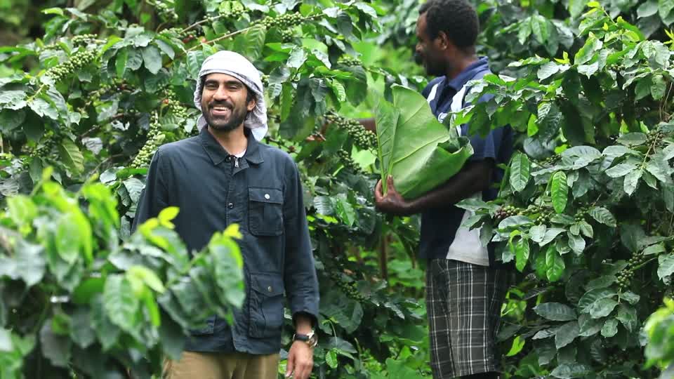 جزيرة تانا 4