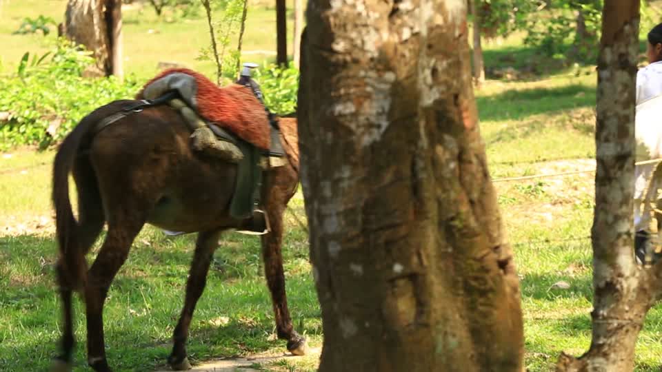 An impressive trail in Colombia 2