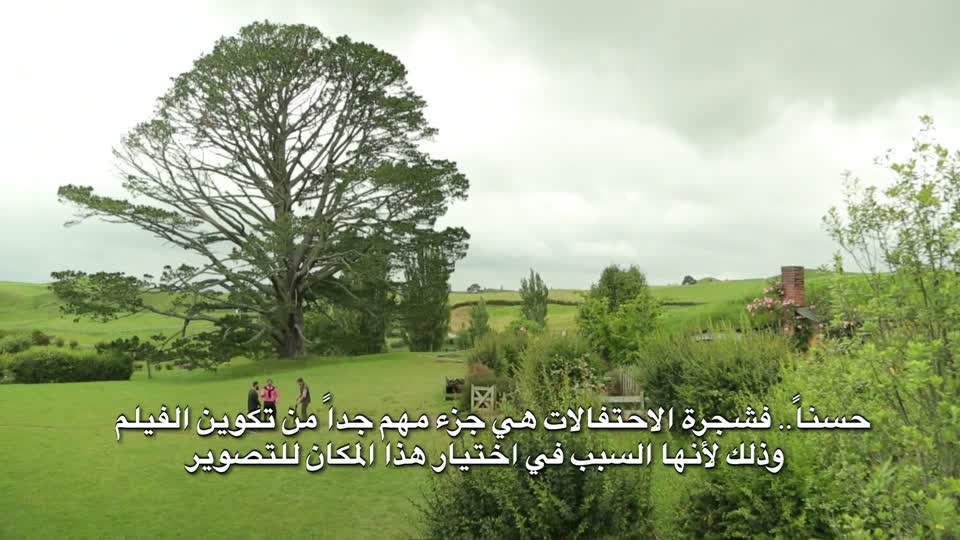 نيوزيلندا 1 قبائل الماوري