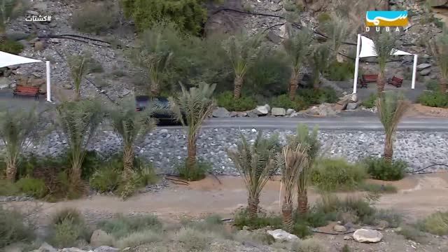 كشتات: الحلقة 04