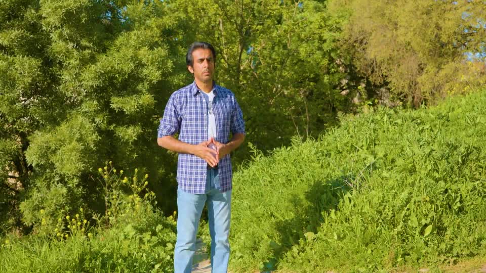 شيخ الإسلام