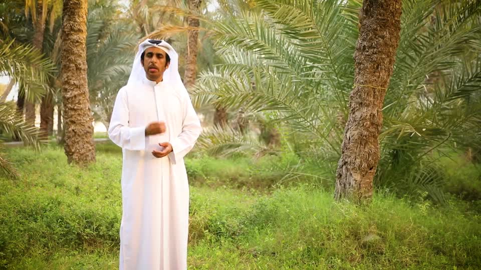 التثبيت الرباني