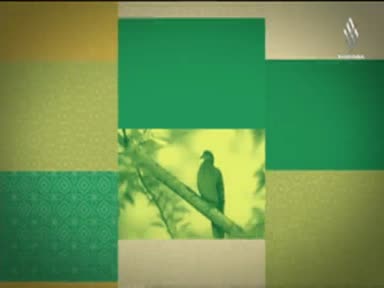 في قصصهم عبرة : غزوة الأحزاب