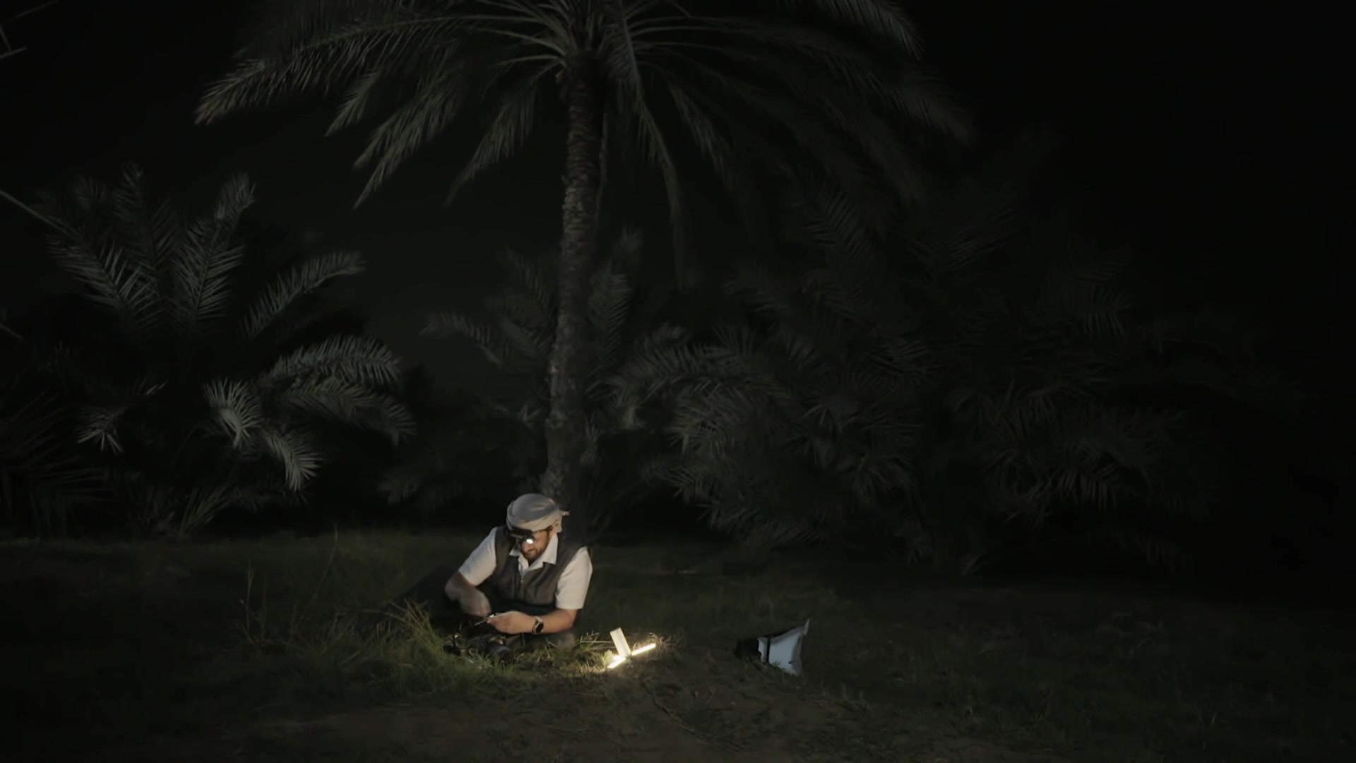 Cricket & Night Cricket