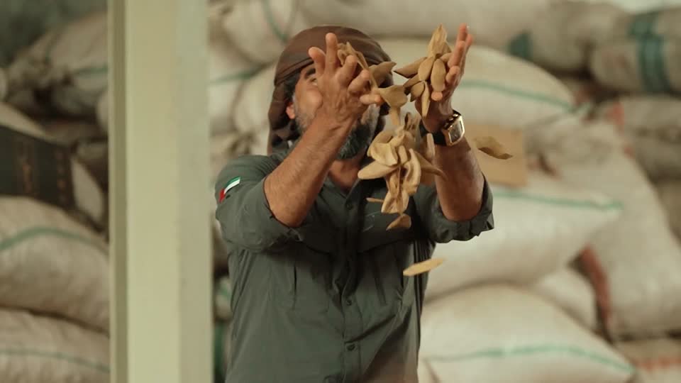 درب العود - جزيرة بورنيو