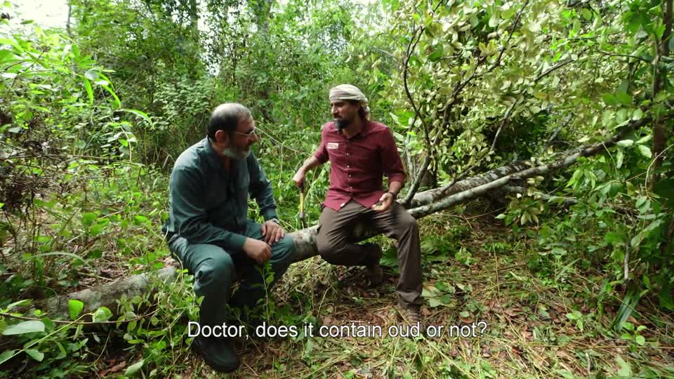 Darb Al Oud - Kalimantan