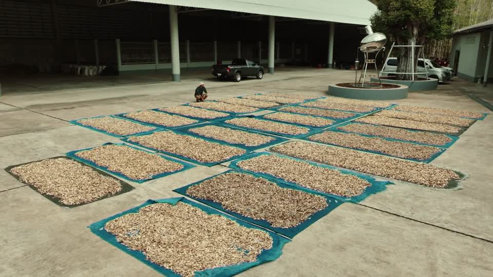 Darb Al Oud - border of Thailand and Cambodia