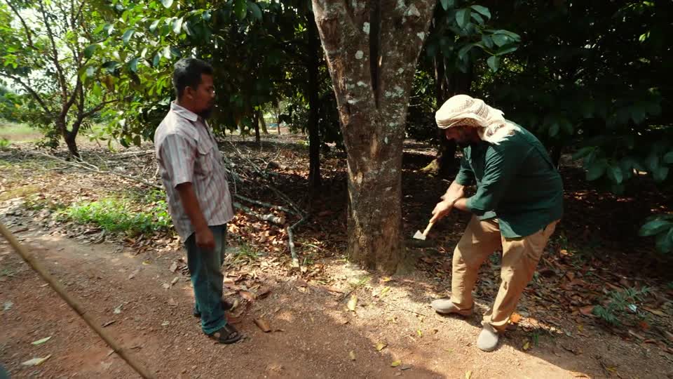 Darb Al Oud - From Oud is medicine