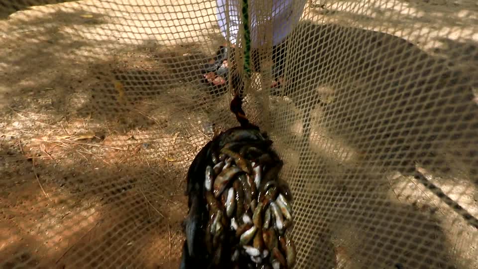 سمعتم عن قرص الصد ؟