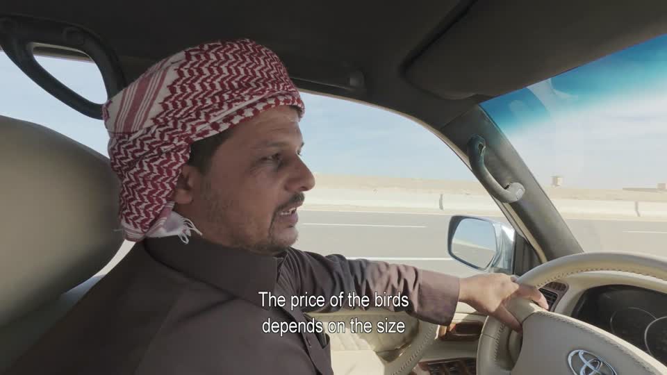 الناظورة - قبائل أولاد علي