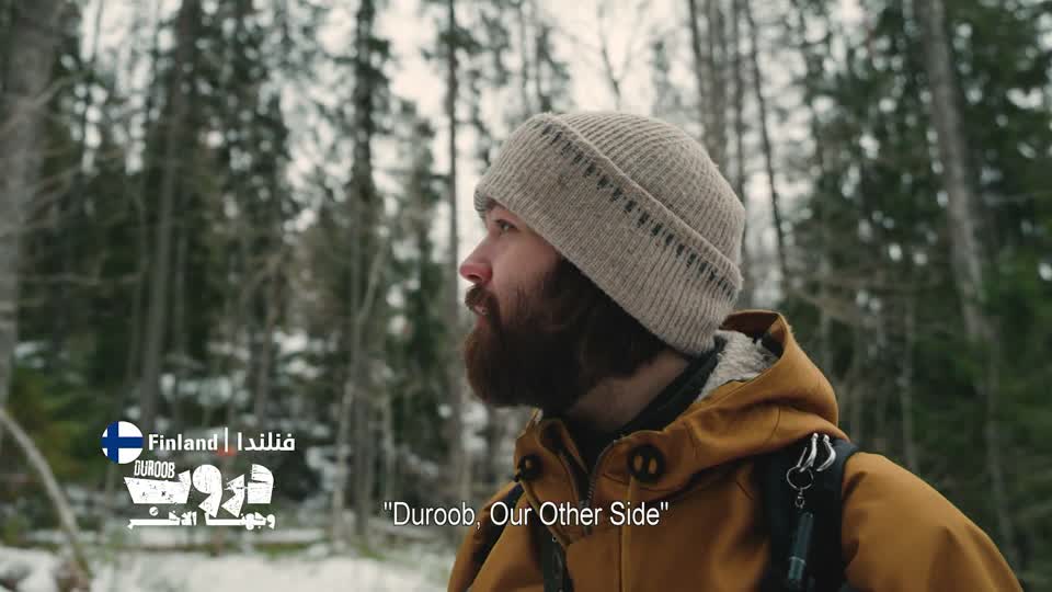 Haltia Forest - Finland