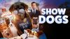 Show Dogs
