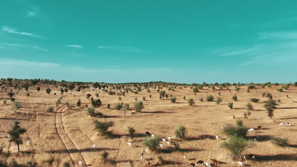 موريتانيا .. ليلة في الصحراء