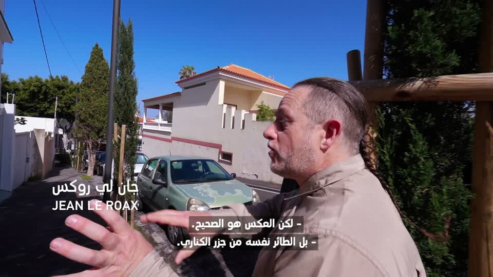 جزر الكناري .. تنريفي