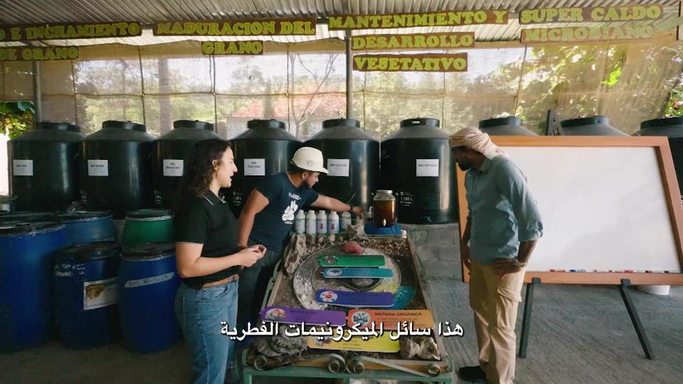 Coffee Griddle - Coffee Drops