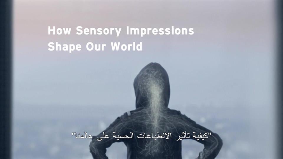 How Sensory Impressions Shape Out World