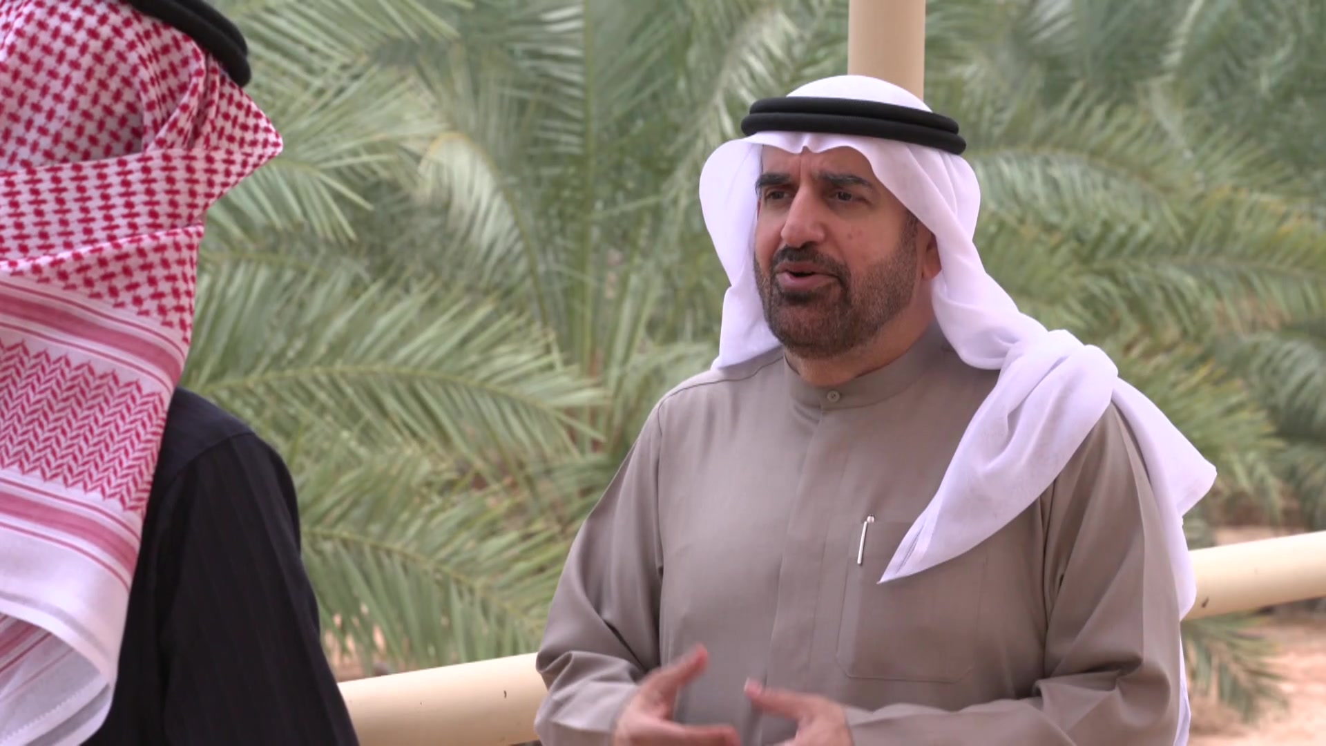 معركة العلمين: بداية النهاية للحرب العالمية الثانية (الحلقة الثانية)